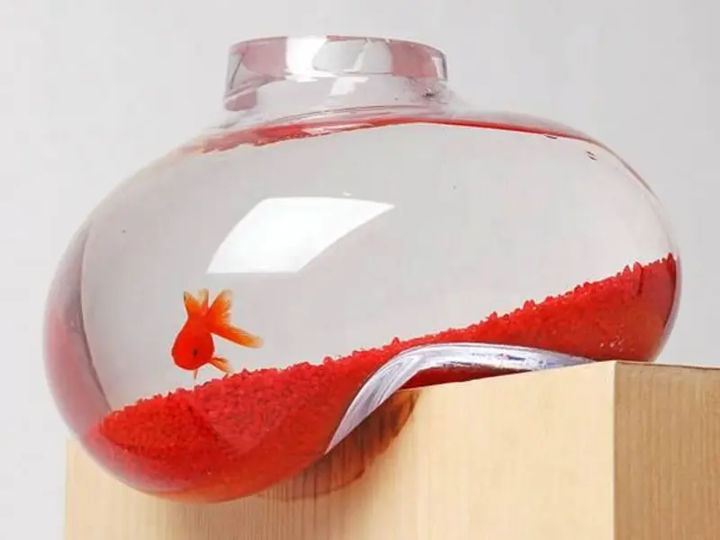 Acvariul, oaza de relaxare