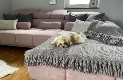 The Role of a Well-Chosen Duvet in Creating an Enchanting Bedroom