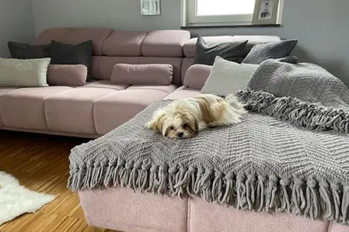 Rolul cuverturii bine alese în amenajarea unui dormitor fermecător