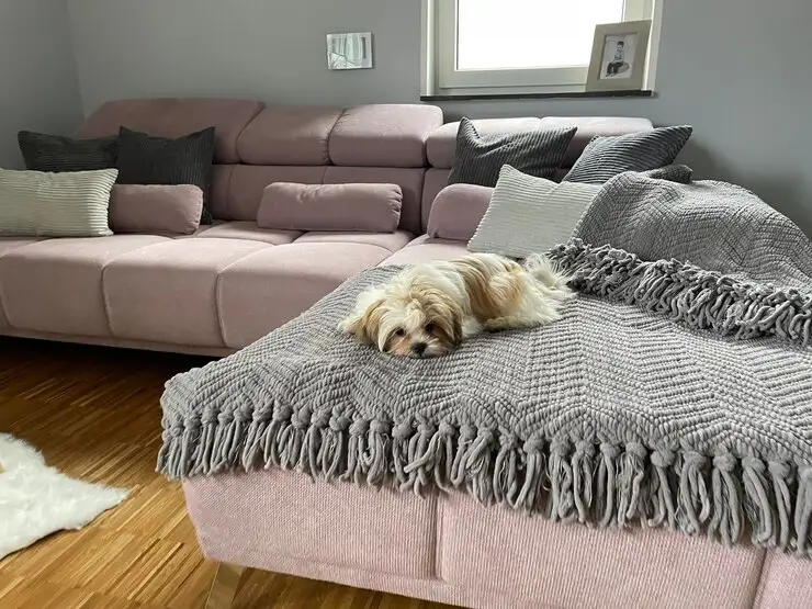 The Role of a Well-Chosen Duvet in Creating an Enchanting Bedroom