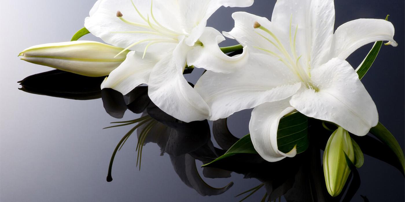 Servicii funerare Ce este doliul complicat?