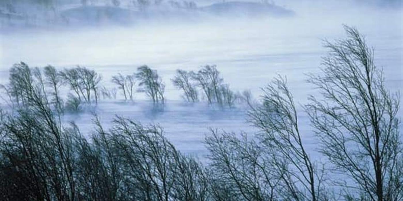 ANM a emis un cod GALBEN de vânt în 16 județe
