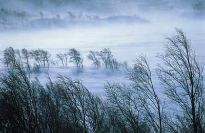 ANM a emis un cod GALBEN de vânt în 16 județe