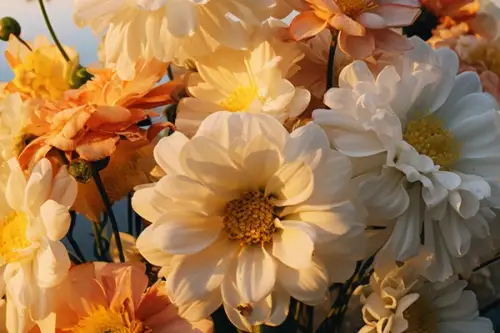 Cum ar trebui sa iti amenajezi casa daca esti pasionat de flori