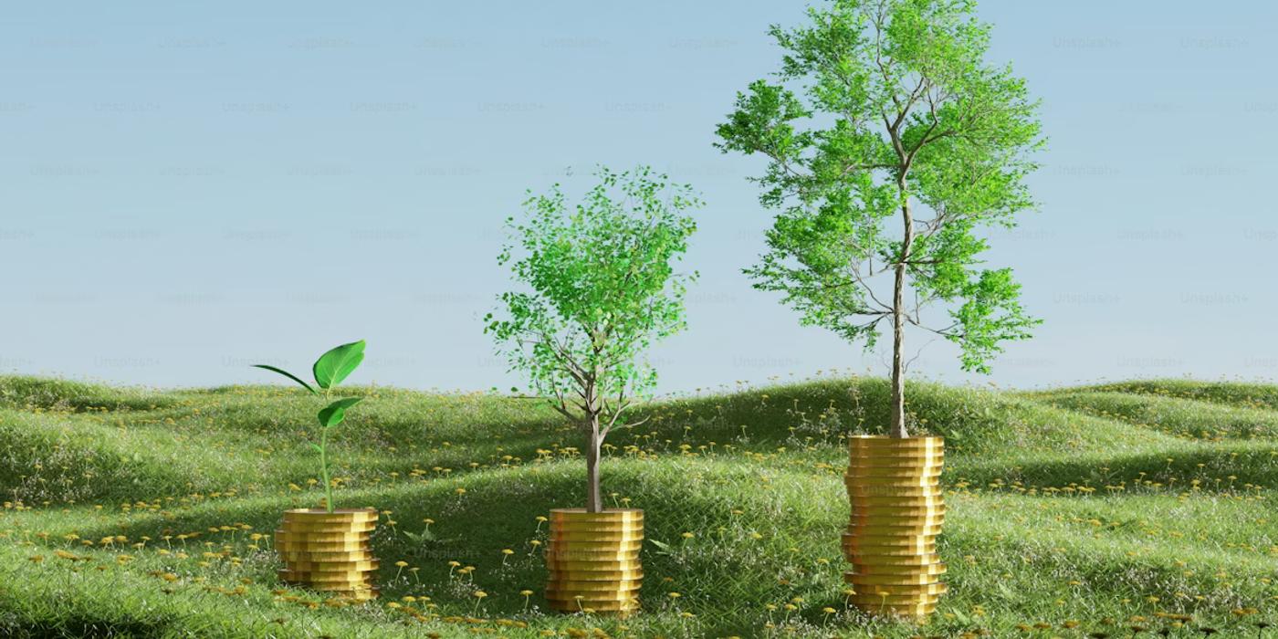 BVB înregistrează creșteri pe toți indicii la deschiderea ședinței de miercuri