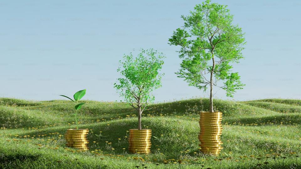 BVB înregistrează creșteri pe toți indicii la deschiderea ședinței de miercuri