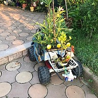 Ambalajele buchetelor de flori – artă, funcționalitate și tendințe eco