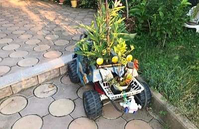 Ambalajele buchetelor de flori – artă, funcționalitate și tendințe eco
