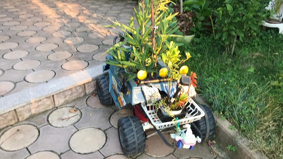 Ambalajele buchetelor de flori – artă, funcționalitate și tendințe eco