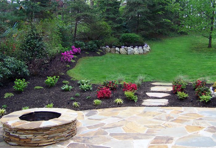 Cum ingrijim plantele si copacii din gradina noastra?