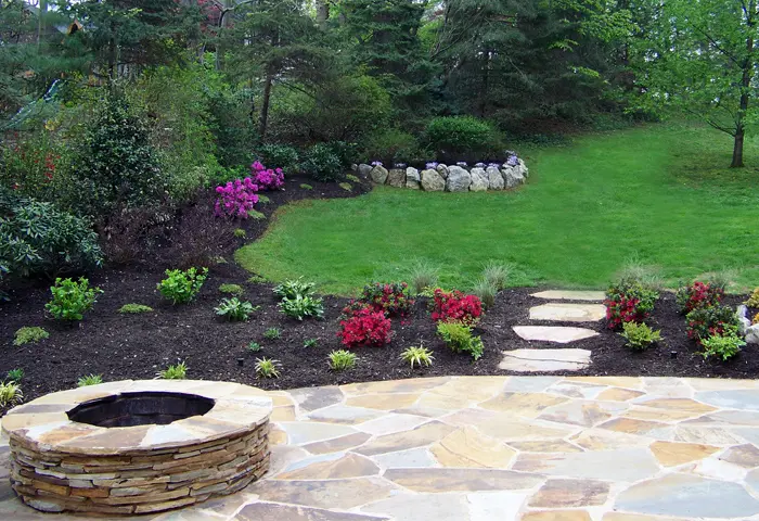 Cum ingrijim plantele si copacii din gradina noastra?