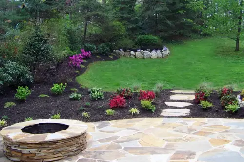 Cum ingrijim plantele si copacii din gradina noastra?