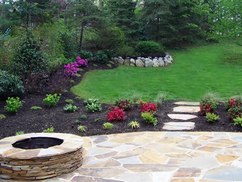 Cum ingrijim plantele si copacii din gradina noastra?