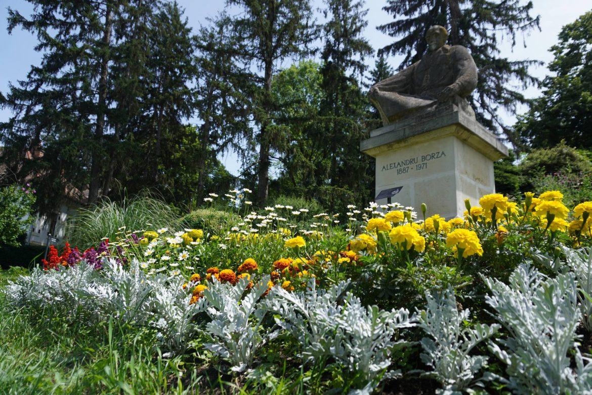 Programul de vară al Grădinii Botanice ”Alexandru Borza” din Cluj-Napoca
