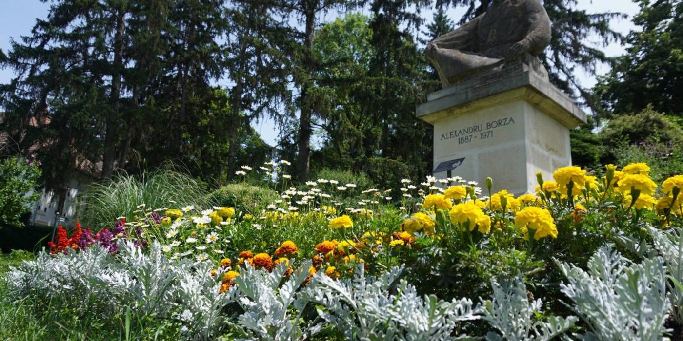 Programul de vară al Grădinii Botanice ”Alexandru Borza” din Cluj-Napoca
