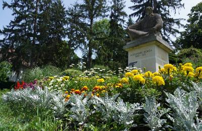 Programul de vară al Grădinii Botanice ”Alexandru Borza” din Cluj-Napoca