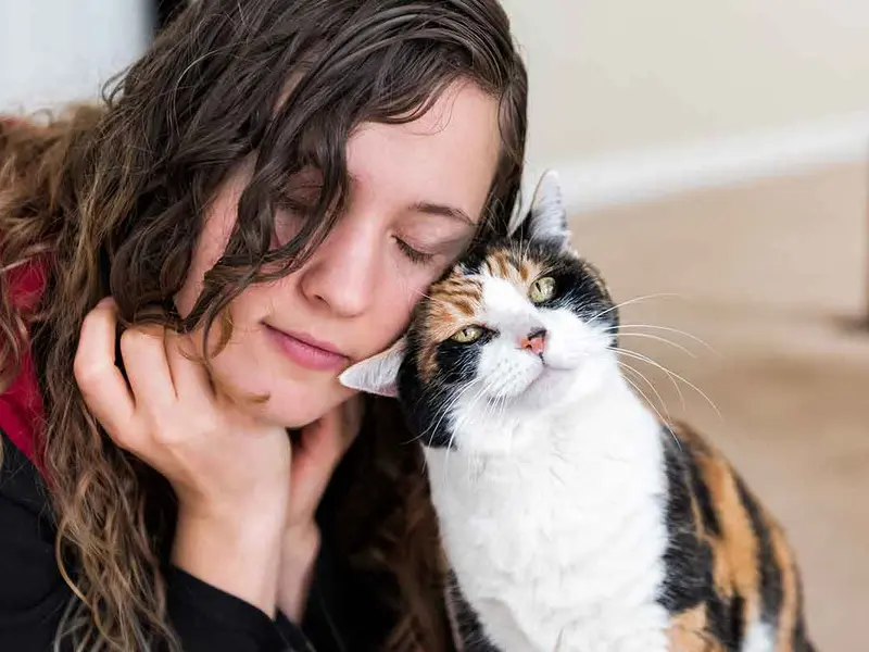 Despre misterul felin și nevoia noastră de sens