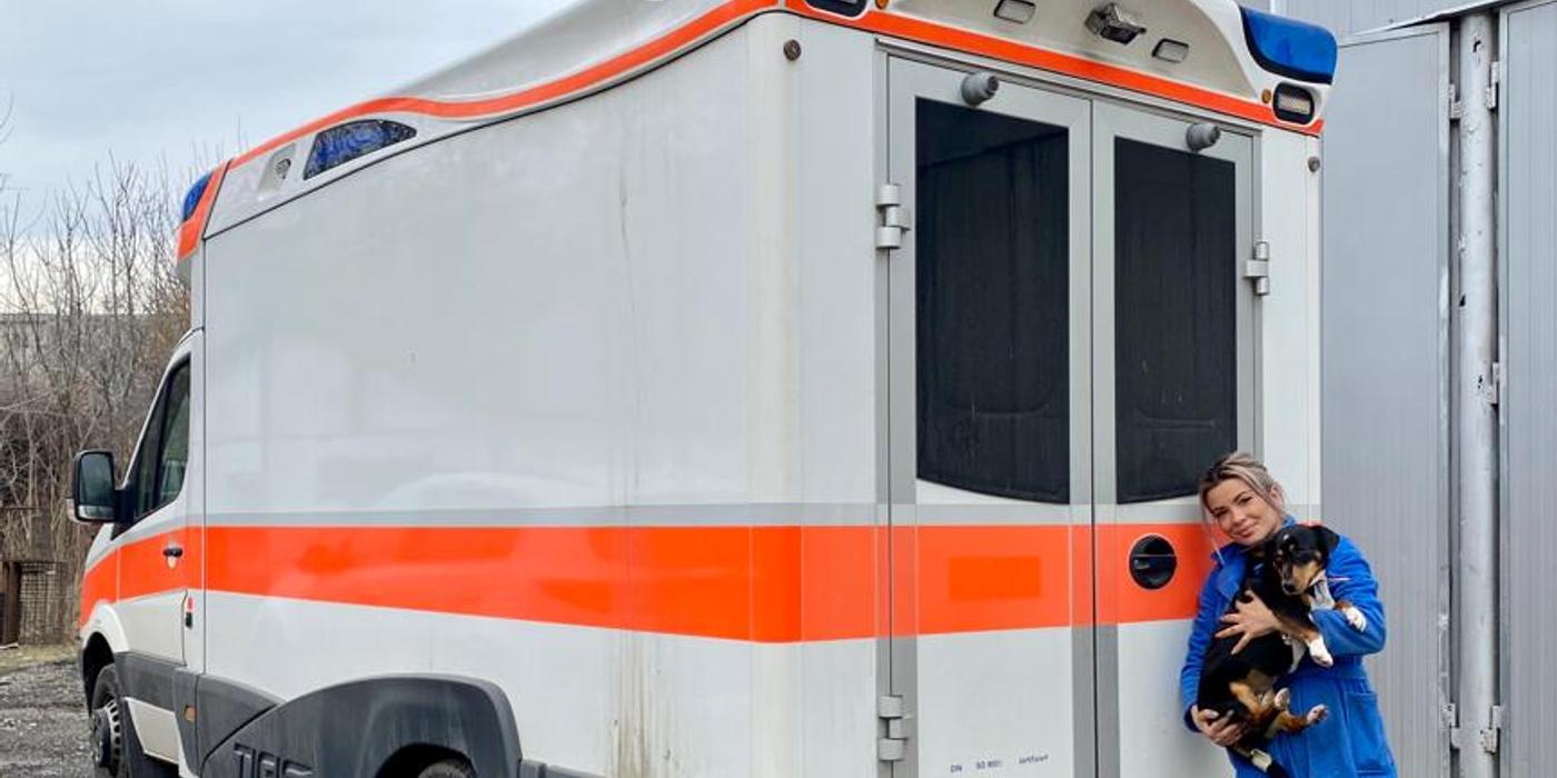 În weekend-ului trecut a avut loc o campanie sterilizare a câinilor de rasă comună