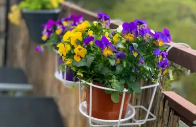 The Best Flower Pots for Spring Balcony Displays