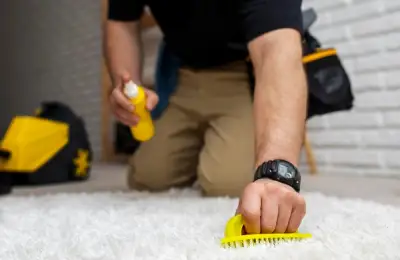 How to Clean Stains from a Fluffy Rug