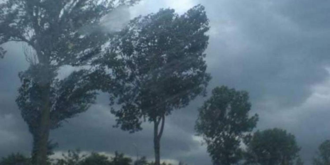 În noaptea de luni spre marți, Clujul a fost lovit de un vânt extrem de puternic