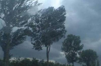 În noaptea de luni spre marți, Clujul a fost lovit de un vânt extrem de puternic