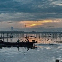 Pescuit la feeder: povești, recomandări și de ce o lansetă feeder e atât de specială