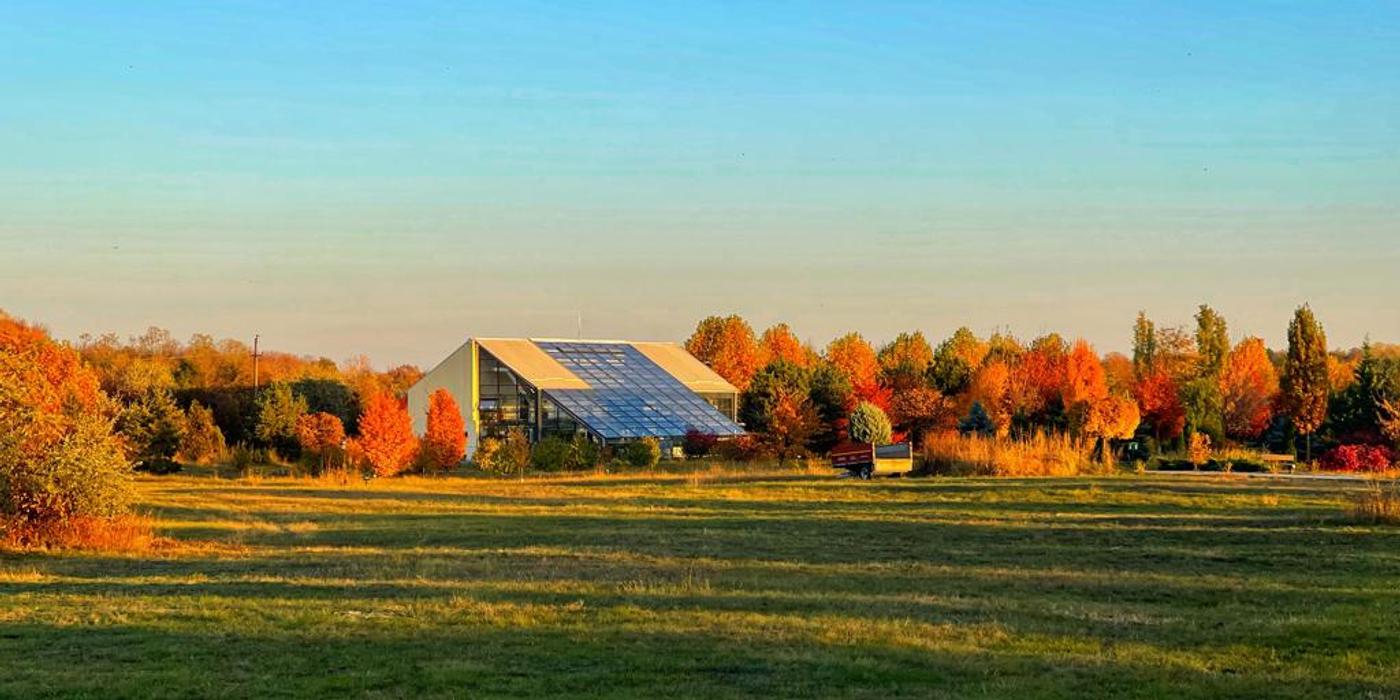 Culorile toamnei la Grădina Botanică Bucov