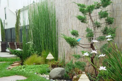 12 idei pentru amenajarea unei gradini