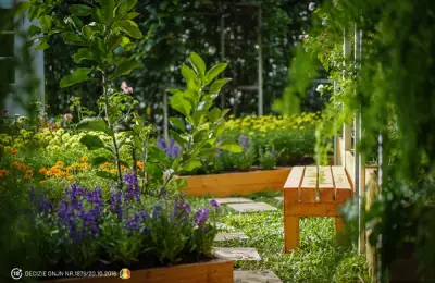 Transform Your Garden into a Relaxation Oasis