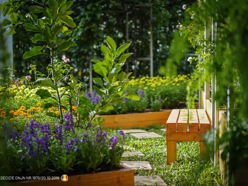 Cum să-ți transformi grădina într-o oază de relaxare