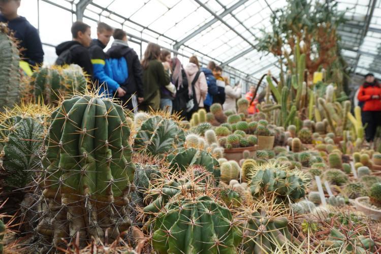 Sera cu plante suculente de la Grădina Botanică din Cluj și-a deschis porțile pentru vizitatori