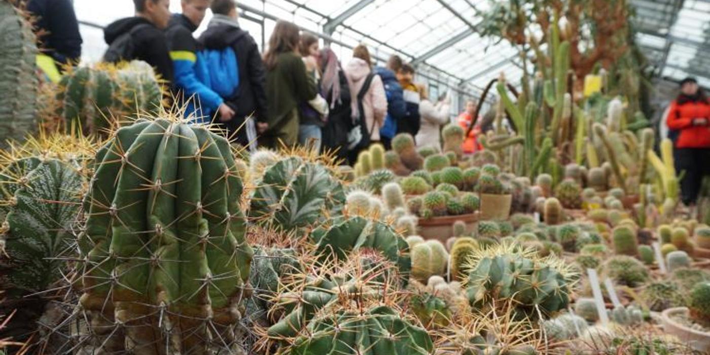 Sera cu plante suculente de la Grădina Botanică din Cluj și-a deschis porțile pentru vizitatori