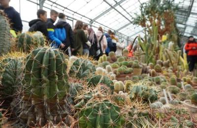 Sera cu plante suculente de la Grădina Botanică din Cluj și-a deschis porțile pentru vizitatori