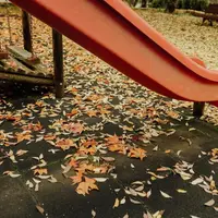 Cum să amenajezi un loc de joacă în curte toamna