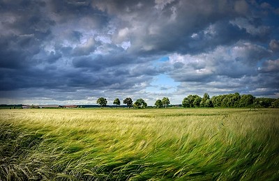 Prognoza meteo, 13 mai. Frigul persistă în majoritatea județelor. Nu vor lipsi ploile