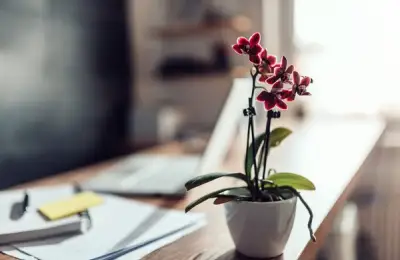 The Role of Flowers in Creating a Charming Office