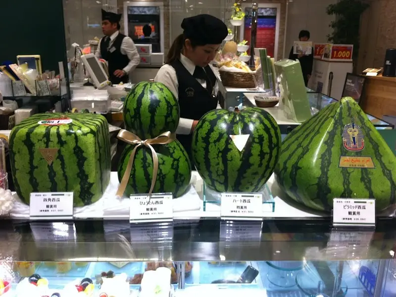 Cum se planteaza si cum se cresc fructele in forme ciudate? (VIDEO)