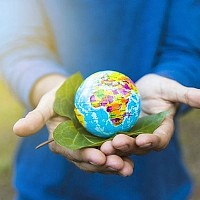 Ziua Pământului 2026: cum îți transformi casa și grădina într-un spațiu sustenabil