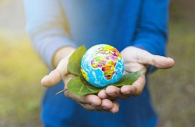 Ziua Pământului 2026: cum îți transformi casa și grădina într-un spațiu sustenabil