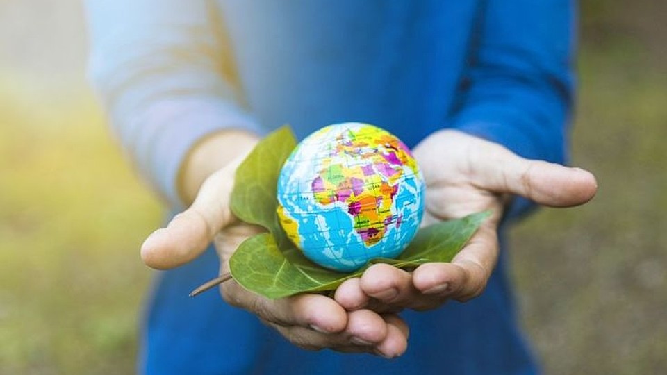 Ziua Pământului 2026: cum îți transformi casa și grădina într-un spațiu sustenabil