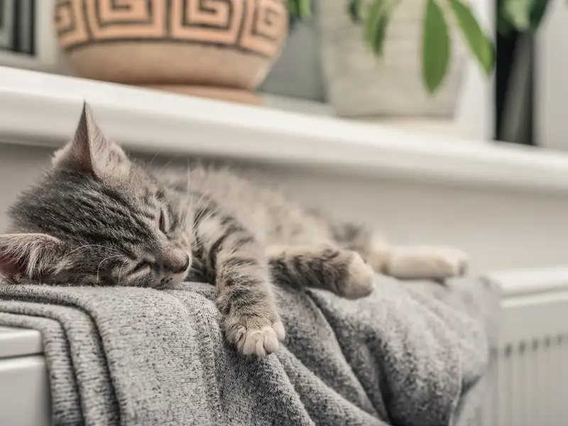 3 sfaturi utile pentru a avea o casa calduroasa, cu un consum minim