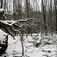 Prognoza meteo, 13 ianuarie. Iarna continuă cu temperaturi extreme. Cod galben de ger și polei în anumite regiuni ale țării
