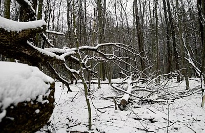 Prognoza meteo, 13 ianuarie. Iarna continuă cu temperaturi extreme. Cod galben de ger și polei în anumite regiuni ale țării