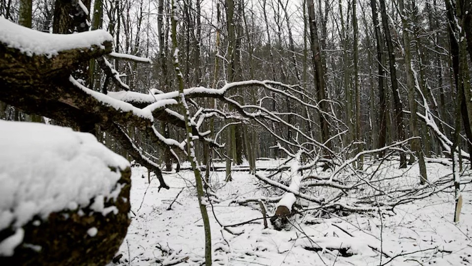 Prognoza meteo, 13 ianuarie. Iarna continuă cu temperaturi extreme. Cod galben de ger și polei în anumite regiuni ale țării
