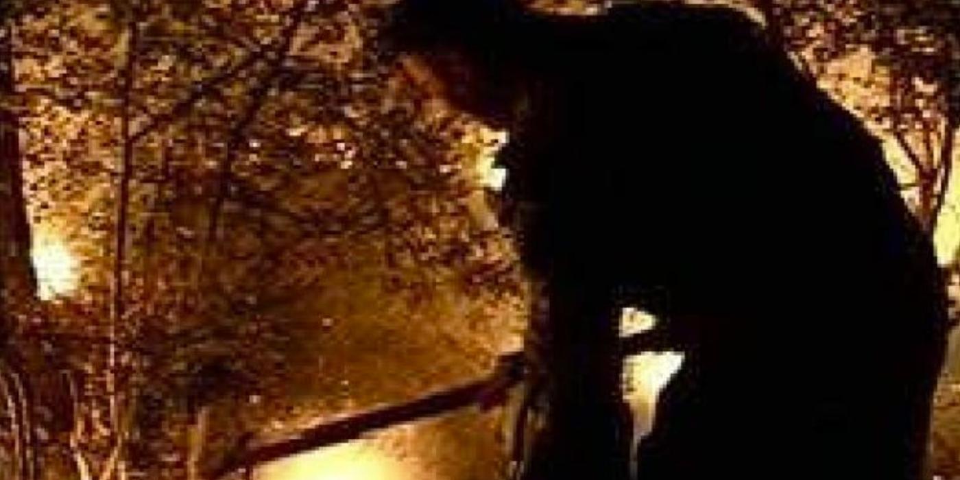 Un incendiu de vegetație s-a produs, luni seara, în comuna Iara