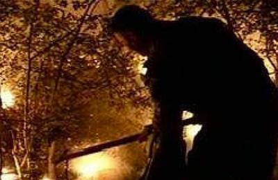 Un incendiu de vegetație s-a produs, luni seara, în comuna Iara