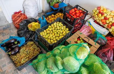 Fructele și legumele proaspete, de la producătorii locali participanți la Zilele Recoltei, donate copiilor și persoanelor fără adăpost din Cluj-Napoca