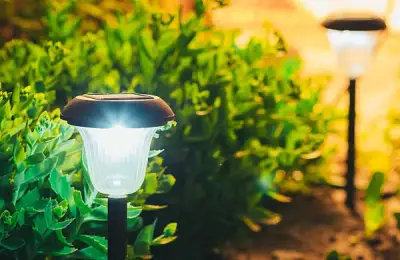 Choosing the Right Solar Lights for Your Yard