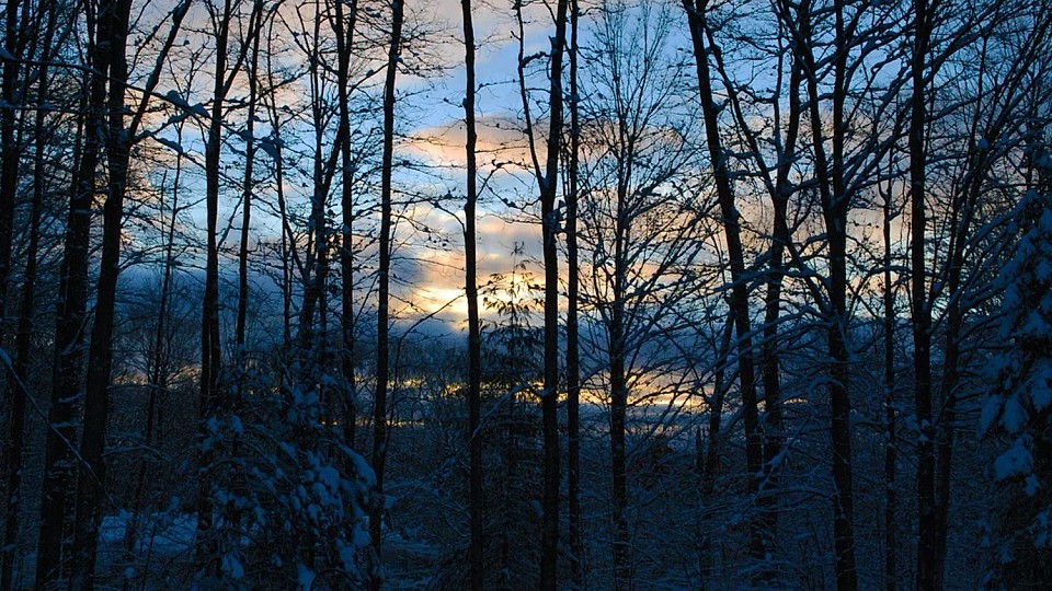 Prognoza meteo, 1 ianuarie. Prima zi a Anului Nou cu temperaturi neobișnuite